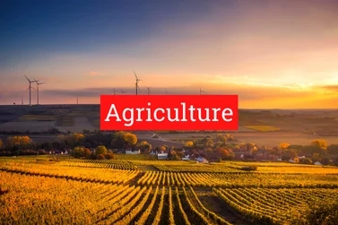 agriculture